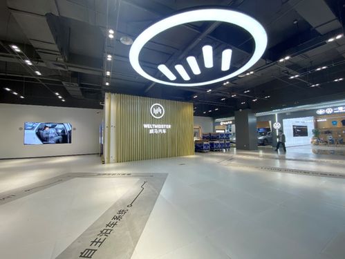 威馬汽車(chē)失速 上海近半門(mén)店關(guān)閉背后的汽車(chē)銷(xiāo)售困局